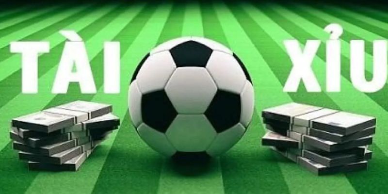 Cá Cược Kèo Tài Xỉu - Bí Quyết Chơi Nhanh Thắng 100% 5 Cá cược kèo Tài Xỉu dễ chơi, dễ trúng